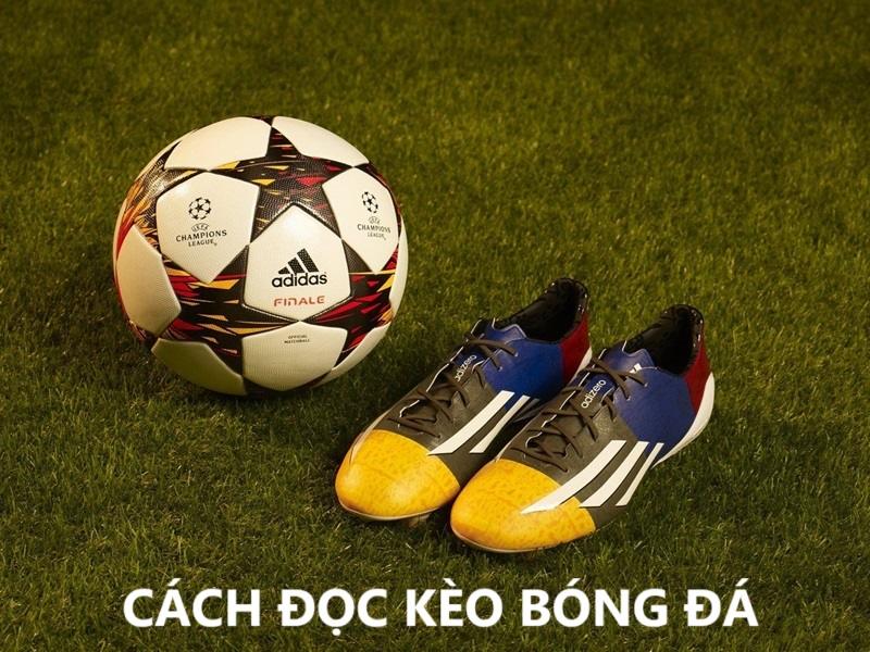 Vebotv huống dẫn bạn cách đọc kèo bóng đá